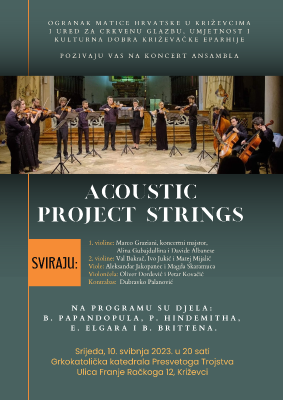 acoustic-project-strings2