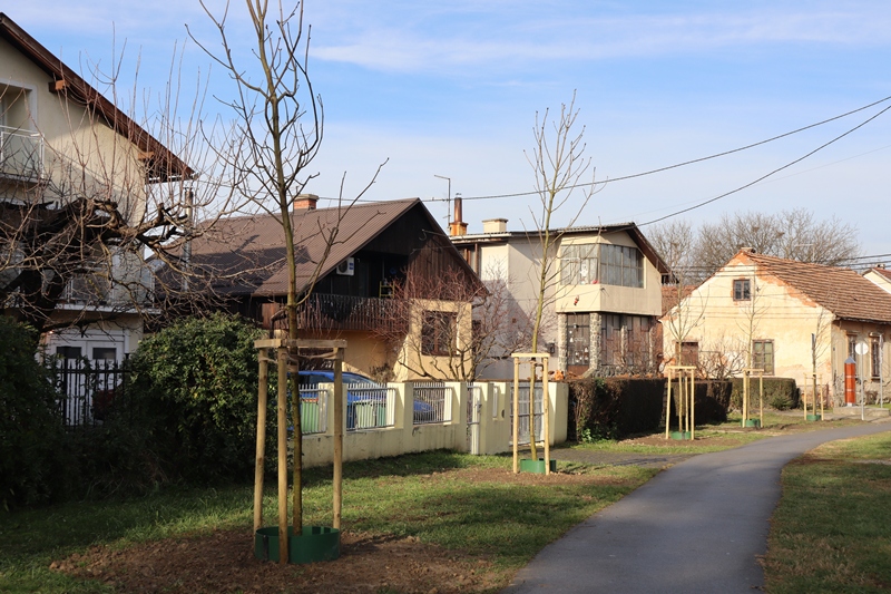 img-1276