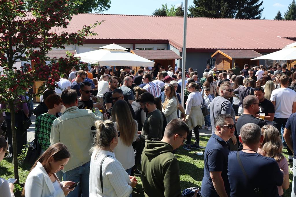 gastro-fest10
