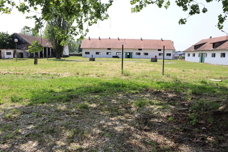 img-6733