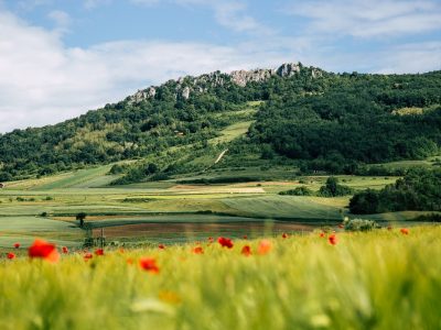 mali-kalnik